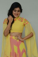Dhanya Balakrishna New Photo Images